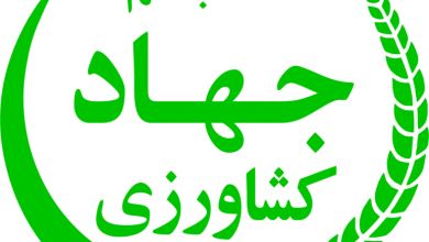 شش قلم کالایی که ثبت سفارش