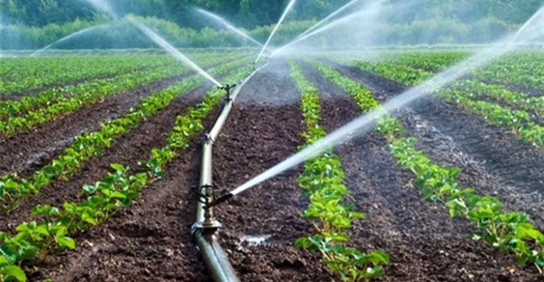 ارائه تسهیلات صفر تا ۴ درصدی به کشاورزان عضو اتحادیه‌ها و تعاونی‌ها