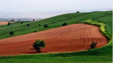 در انگلستان ۲۰ میلیون هکتار زمین کشاورزی وجود دارد؛ معادل ۳۰ میلیون زمین فوتبال