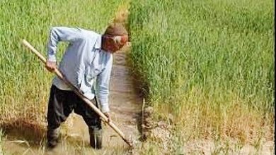 روستاییان در روستاهای خود بمانند و تولید کنند