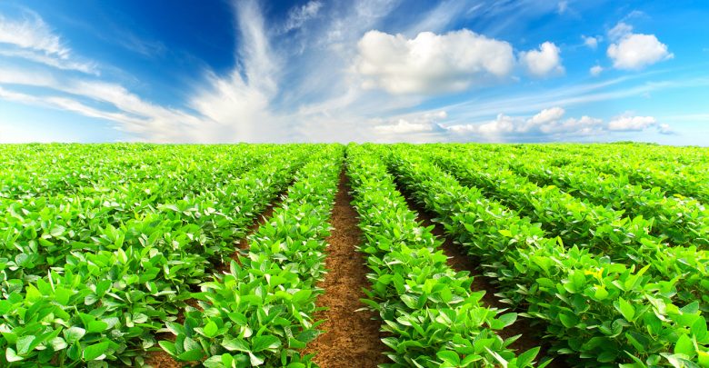 ۱۲ صندوق حمایت از توسعه سرمایه‌گذاری در بخش کشاورزی ایجاد شد