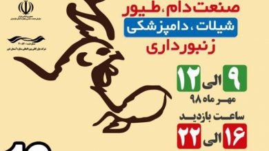 نمایشگاه دام و طیور قایمشهر