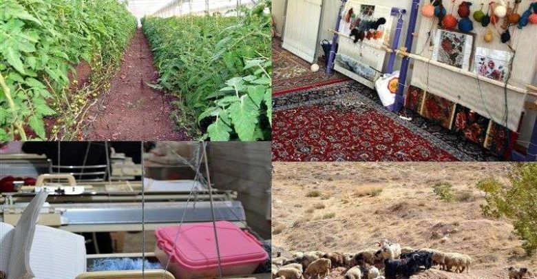 بنیاد برکت ۳۰ هزار طرح اشتغال‌زای روستایی اجرا می‌کند