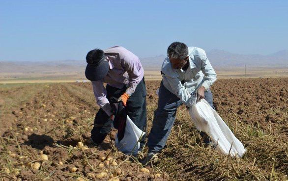 زنگ سال زراعی جدید برای کشاورزان نواخته نشد