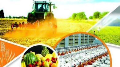 سهم ۵۰۰ میلیارد تومانی کرمانشاه از منابع اشتغال روستایی