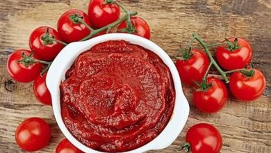 کارخانجات تولید رب گوجه با کشاورزان قرارداد کشت تنظیم کنند