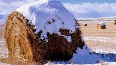 اطلاعیه هواشناسی برای انجام عملیات کشت پاییزه قبل از یخبندان