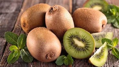 صادرات کیوی از امروز آزاد شد