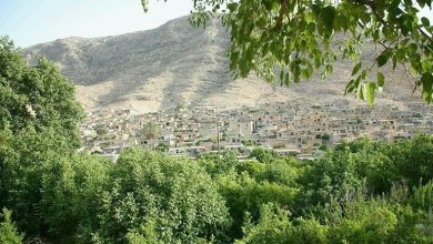 فارس دارای رتبه برتر در تولیدات روستایی است