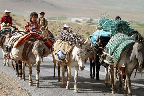 ۳۶۰ صندوق اعتبارات خرد زنان عشایری در کشور راه‌اندازی شده است