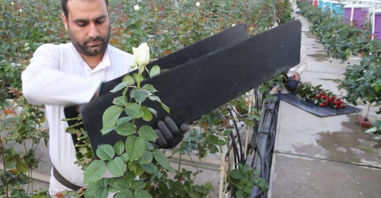 ۹۵۰۰ میلیارد تومان به طرح‌های اشتغال‌زای روستایی پرداخت شد