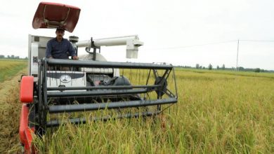 اولین مجمع عمومی تعاونی کمباین داران برنج استان گیلان برگزار شد