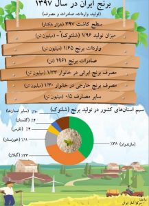 ایران در سال ۹۷ چقدر برنج وارد و مصرف کرد؟