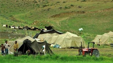 تاثیر مهارت آموزی بر زندگی عشایر کشور