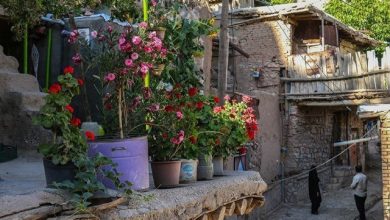 روستاها باید محور توسعه کشور باشند