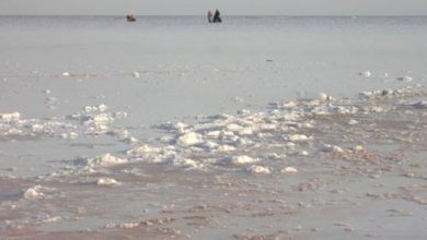 کمک فائو به ایران برای مدیریت خشکسالی حوضه آبریز دریاچه ارومیه