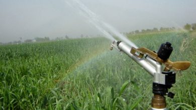 ۳۰۱هکتار سامانه نوین آبیاری در شهرستان البرز اجراشد