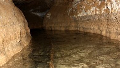 39 رشته قنات در استان قزوین بهسازی و نوسازی شد