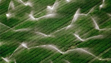 ادعای مصرف 90درصدی آب در بخش کشاورزی، انحراف افکار عمومی است