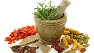 بانوان روستایی رباط کریم تحت آموزش نحوه کشت و فرآوری گیاهان داروئی قرار گرفتند