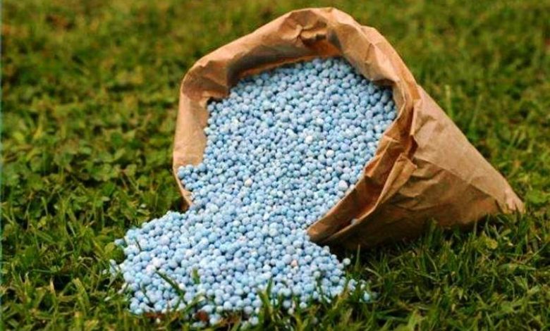 تنها برنامه‌ام تولید است / افزایش ۴۲ درصدی ذخایر کود