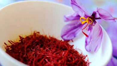 «سرقت بزرگ»|صادرات فله‌ای ۹۰درصد زعفران ایران به ۱۰ کشور/دولت از ۱ میلیون شاغل حمایت کند