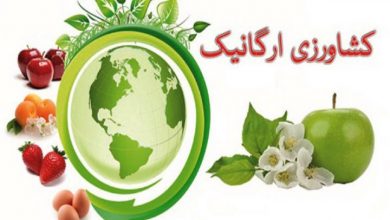 سه بازوی توانمند در تولید محصولات گواهی‌شده