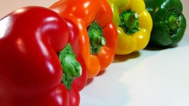 صادرات بیش از 20 تن محصول گواهی شده حمید آباد قزوین به روسیه