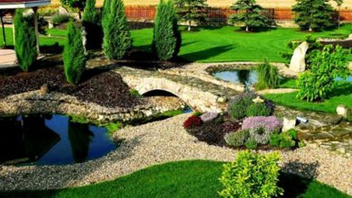 نمایشگاه فضای سبز، تجهیزات گلخانه ای، خدمات و مبلمان شهری، حمل و نقل شهری و ترانزیت و صنایع وابسته قائمشهر 98 چهارمین دوره