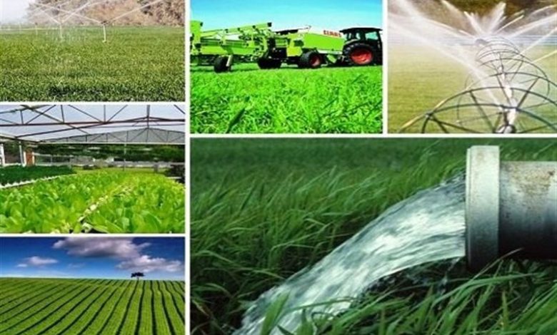 ۳۰درصد صرفه‌جویی آب در بخش کشاورزی با اجرای طرح هوشمندسازی آبیاری