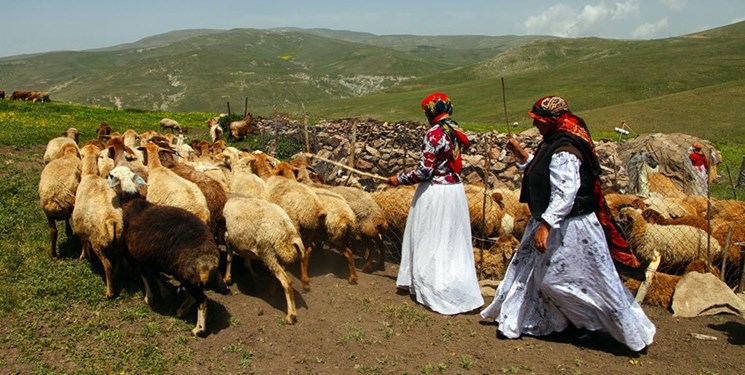 ۹۰ دستگاه کامیون تانکردار به ناوگان آبرسانی عشایر اضافه شد