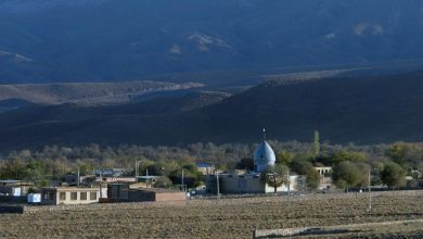 روستا راویز در غرب شهرستان رفسنجان