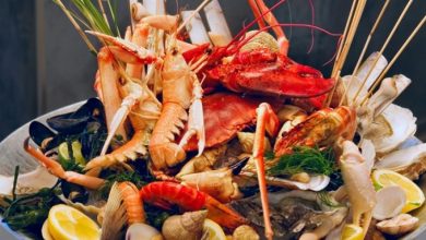 ارزآوری 528 میلیون دلاری صادرات محصولات شیلاتی ایران