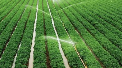 تجهیز 3811 هکتار از اراضی کشاورزی آذربایجان غربی به سیستم‌های آبیاری نوین