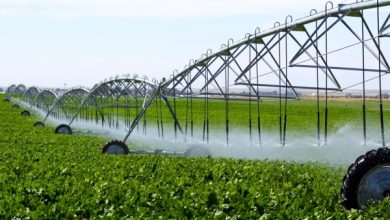 تجهیز ٢.٢ میلیون هکتار از اراضی کشاورزی به سامانه نوین آبیاری