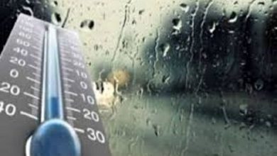 توصیه‌های سازمان هواشناسی به کشاورزان تا ۲۹ دی‌/ هشدار وقوع یخبندان و تاثیر بر مرغداری‌ها و دامداری‌ها