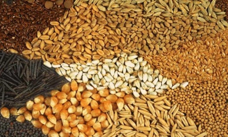 رشد ۹۵ درصدی توزیع نهاده‌های دامی در فارس