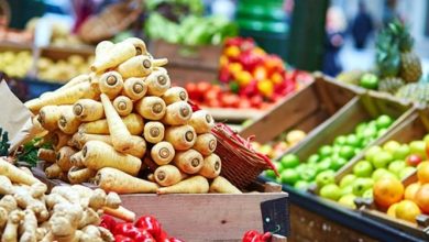 سازمان جهاد کشاورزی متولی تولید و تامین امنیت غذایی کشور است