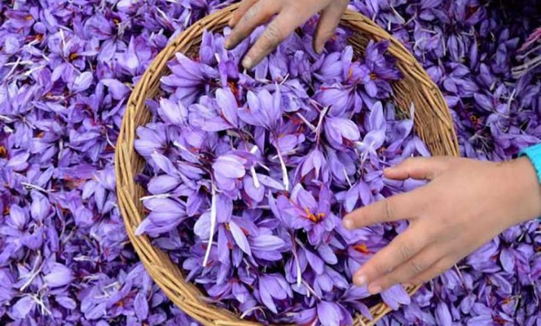 فراگیر شدن برند زعفران ایرانی با ایجاد بورس بین‌المللی