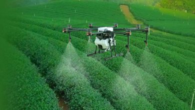 فروش پهپاد به کشاورزان/ آمریکا جلوی ورود قوزه چین پنبه را به ایران گرفت