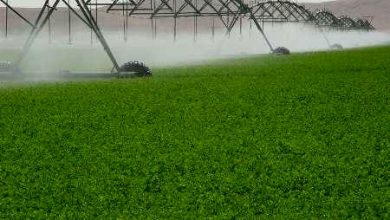 چهارمحال و بختیاری رتبه دوم اجرای سامانه نوین آبیاری