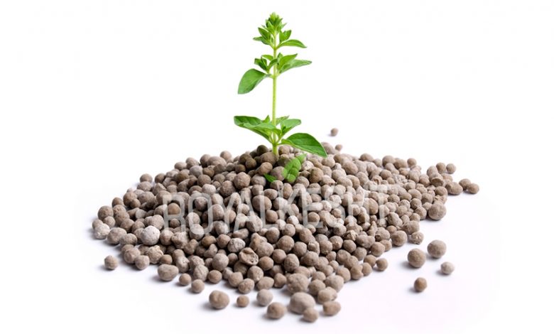 کشاورزان کمک بزرگی به تامین مالی کشور می‌کنند