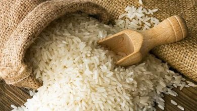 گیلان رکوردار تولید ۷۵۰ هزار تن برنج سفید