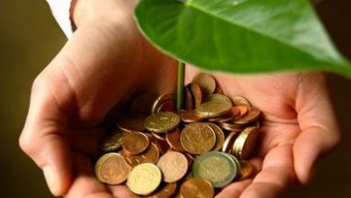 7930 میلیارد ریال تسهیلات کشاورزی در اصفهان پرداخت شد