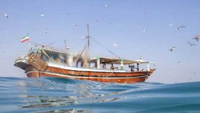 افزایش قدرت موتور ناوگان صیادی، ذخایر دریایی را به خطر می‌اندازد