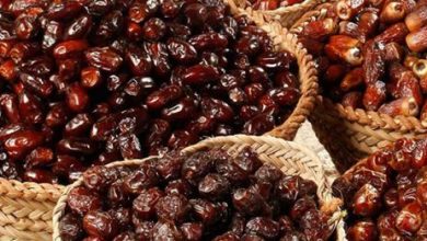 افزایش قیمت داخلی، صادرات خرمای ایران را ۸۰ درصد کاهش داد