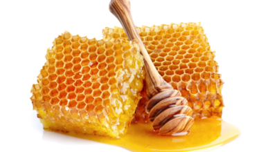 تولید عسل در استان سمنان افزایش یافت/ ایجاد ۱۰۰۰ شغل در زنبورداری