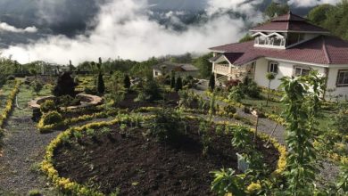 روستای لاویج مازندران با تلفیق چشمه آب‌گرم و جنگل