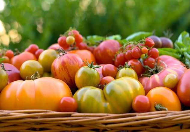 زنجیره عرضه محصولات کشاورزی ایجاد می‌شود