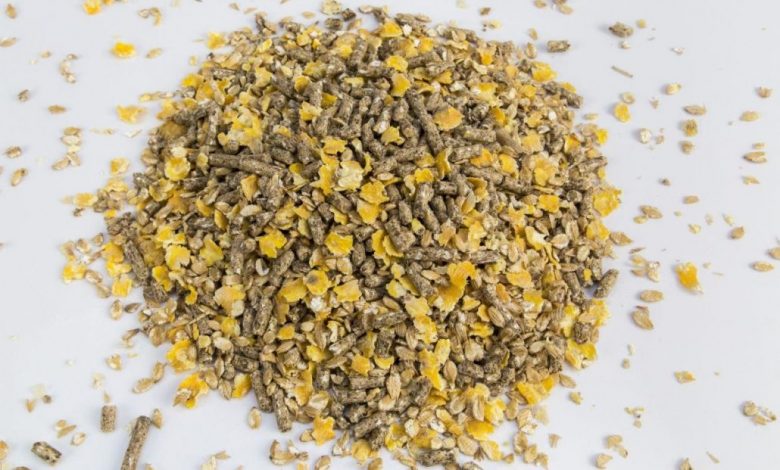 لزوم خوداتکایی در تولید آنزیم‌ها و ریزمغذی‌های خوراک دام و طیور